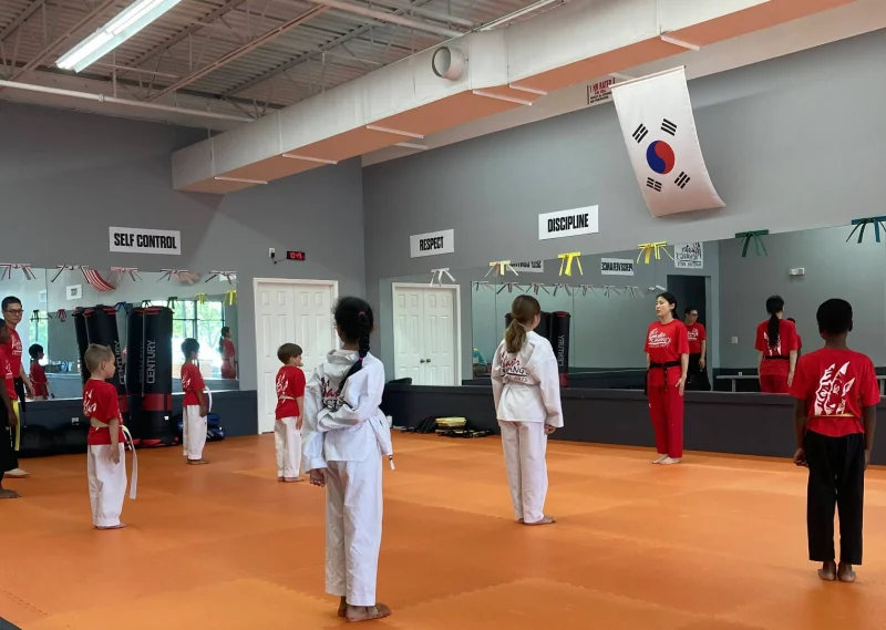 Master Chang's Martial Arts Chapel Hill -  - Poster