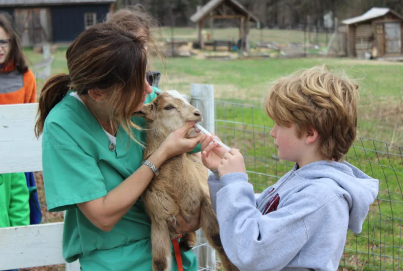 Kids Vet Club Junior Vet Academy -  - Poster