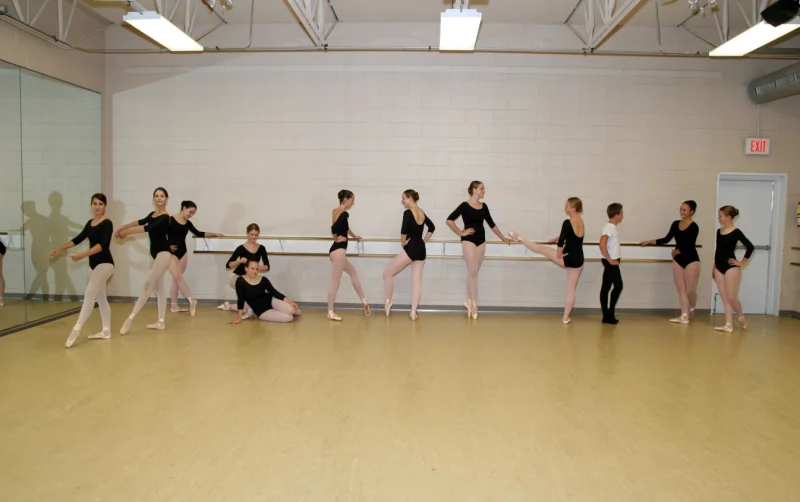 Triangle Youth Ballet -  - Poster