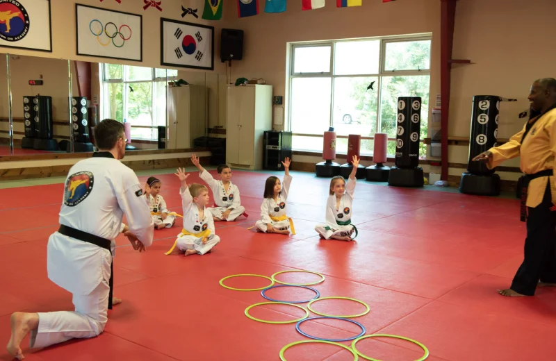 United Tae Kwon Do Academy -  - Poster