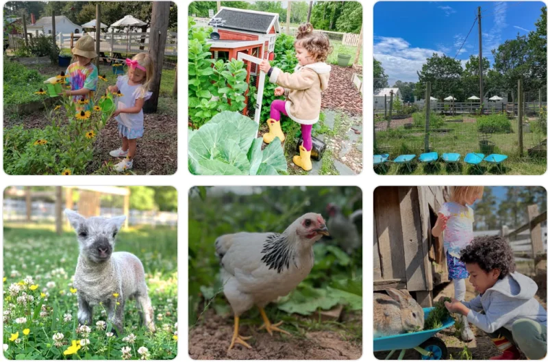 My Little Farmer at 1870 Farm -  - Poster